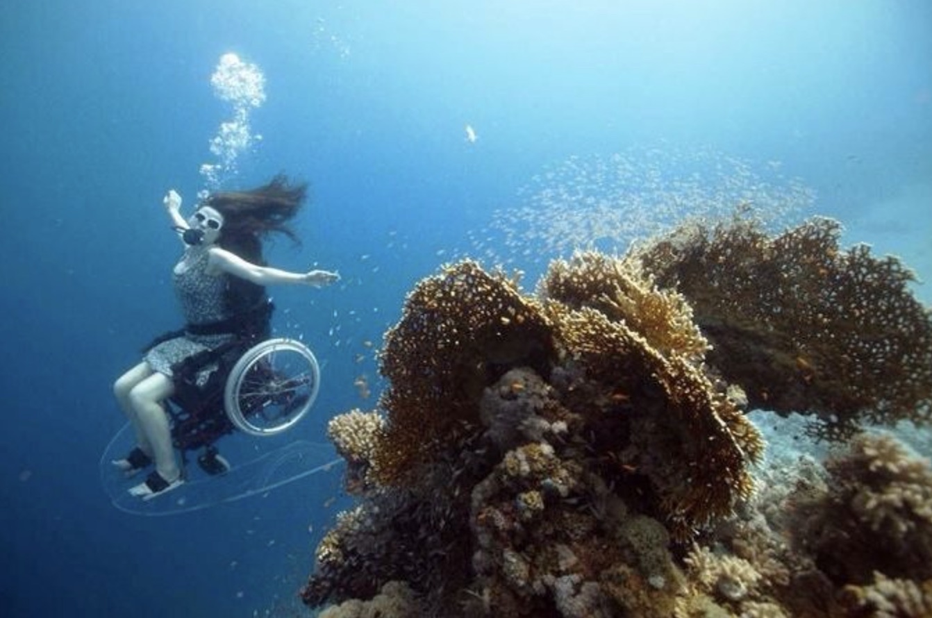 The ocean is handicapped friendly